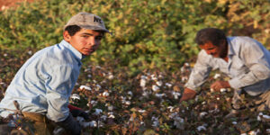 Bando: Contributi per il contrasto dello sfruttamento dei lavoratori stranieri