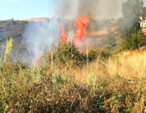 Campo Calabro, prevenzione incendi: arriva l'ordinanza del sindaco Repaci