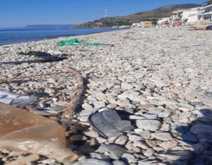 Villa San Giovanni, pulizia delle spiagge: i dettagli del servizio e i costi