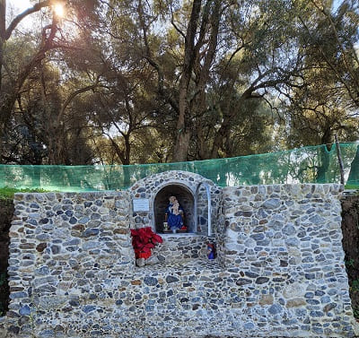Gli amici di Samperi Madonna delle Grazie donano una pianta di Bergamotto al Comune di Villa e Campo