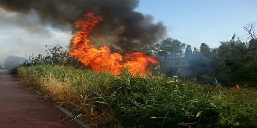 Campo Calabro, prevenzione incendi: l'Ordinanza del Sindaco